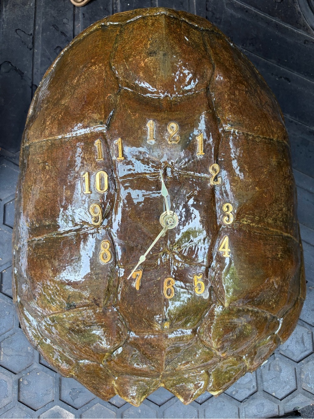 Huge Turtle Shell Wall Clock - WORKS Decorative Reptile Accent